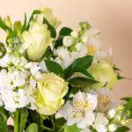 111005_closeup.webp