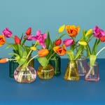 Serenata Spring 2026 - PROD04-6.png