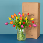 Serenata Spring 2026 - PROD04-3.png