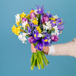 Serenata Spring 2026 - PROD03-5.png