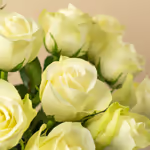 111099_closeup.jpg