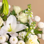 110713_closeup.jpg