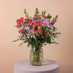 111519_standing.webp
