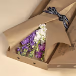 110757_letterbox.jpg