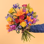 Serenata 3 Sizes 03-7.jpg