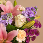 110673_closeup.webp
