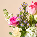 110681_closeup.jpg
