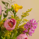 111481_closeup.jpg