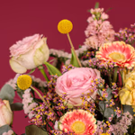 Serenata Mothers Day-20.jpg