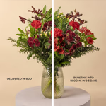111534_in-bud.jpg