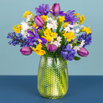 Serenata Spring 2026 - PROD03-1.png