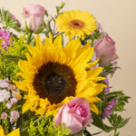 111526_close-up.jpg