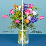 Serenata Spring 2026 - PROD06-18.png