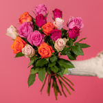 113568-4.jpg