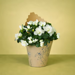 ChatGPT Image Mar 17, 2026, 03_01_18 PM.png