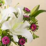 110769_close-up.jpg