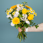 Serenata Spring 2026 - PROD06-5.png