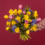 Serenata Mothers  Day-27.jpg