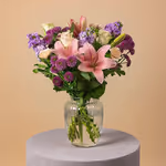 110673_standing.webp