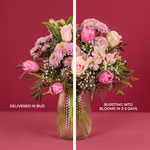 Serenata Mothers Day-14.jpg