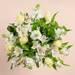 111005_overview.webp