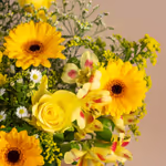 110715_closeup.jpg
