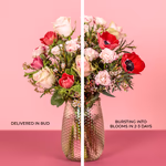 Serenata Valentines 2026-37.jpg