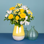 Serenata Spring 2026 - PROD06-4.png