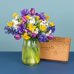 Serenata Spring 2026 - PROD03-2.png