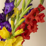 110431_closeup.jpg