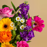 110714_closeup.jpg