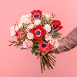 Serenata Valentines 2026-36.jpg