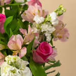 110119_closeup.jpg