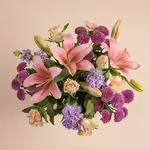 110673_overview.webp
