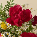 111089_close-up.jpg