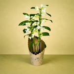 ChatGPT Image Mar 17, 2026, 03_17_26 PM.png