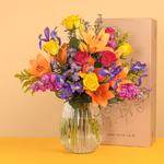 Serenata 3 Sizes 03-4.jpg