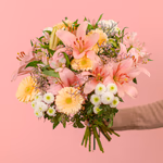 Serenata 3 Sizes 01-7.jpg