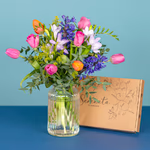 Serenata Spring 2026 - PROD06-15.png