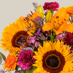 SRNFL260002_4.png