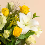 111006_closeup.jpg