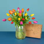 Serenata Spring 2026 - PROD04-2.png