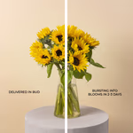 110622_in-bud.jpg