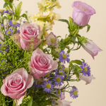111156_closeup.jpg