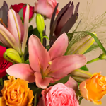 110726_closeup.jpg