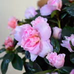 111068_closeup.jpg