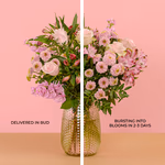 Serenata 3 Sizes 02-5.jpg