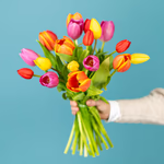 Serenata Spring 2026 - PROD04-5.png