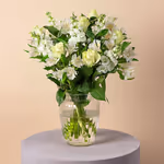 111005_standing.webp