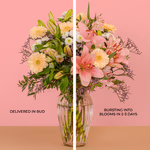 Serenata 3 Sizes 01-5.jpg